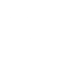 Valley Operations Group LLC
